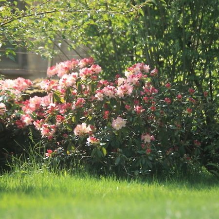 Ferienwohnung Bellmann Prinzenmoor Екстер'єр фото
